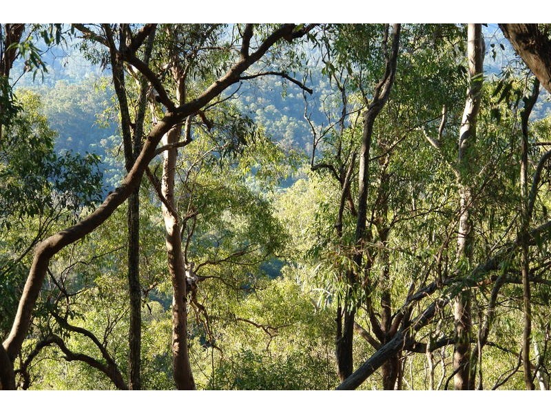 1005 Grandview Road, Upper Brookfield QLD 4069